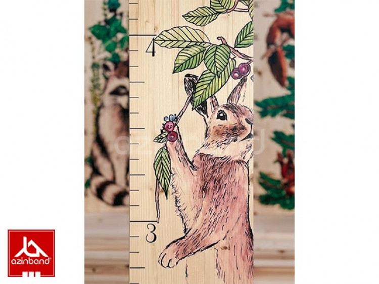 خط کش قدی شماره 13 - شماره 3