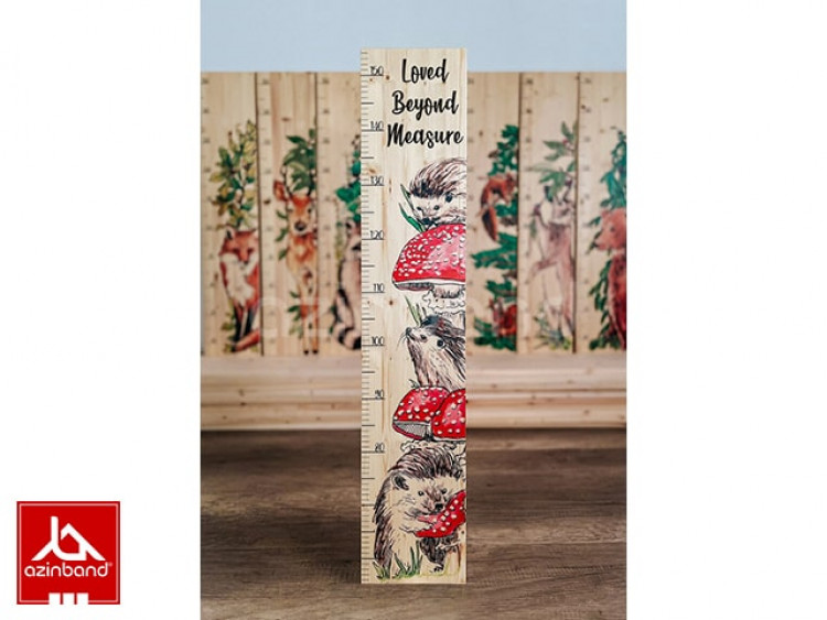 خط کش قدی شماره 21 - شماره 4