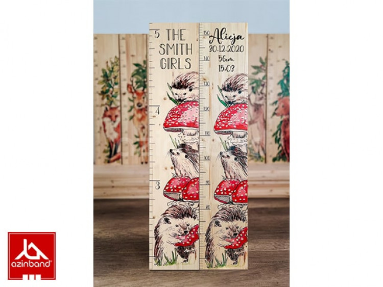 خط کش قدی شماره 21 - شماره 2