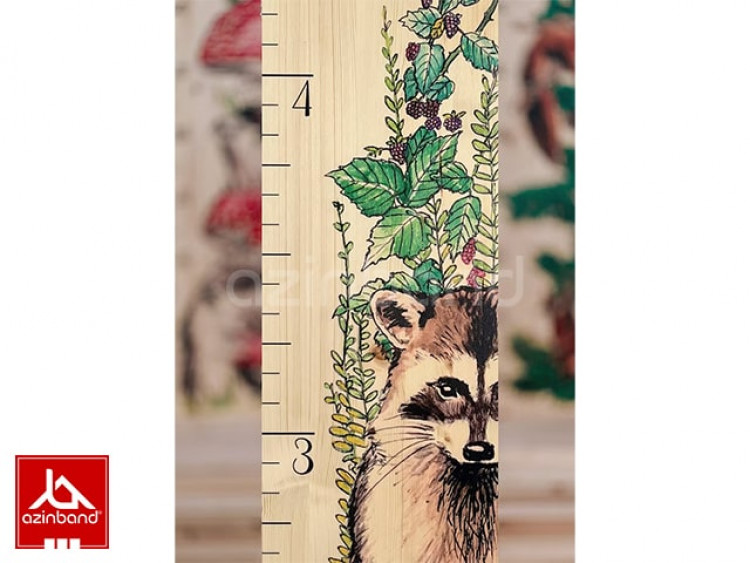 خط کش قدی شماره 24 - شماره 2